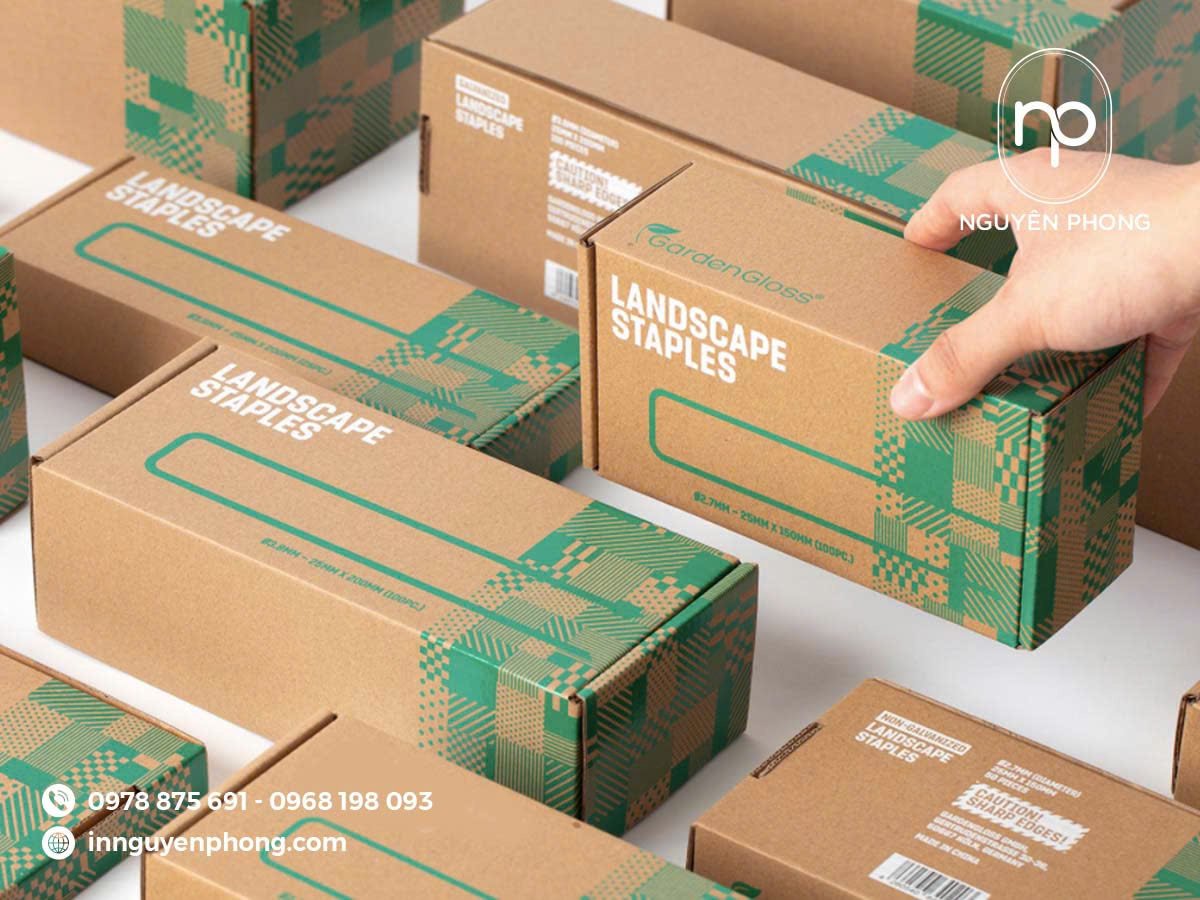 Mẫu hộp carton đẹp